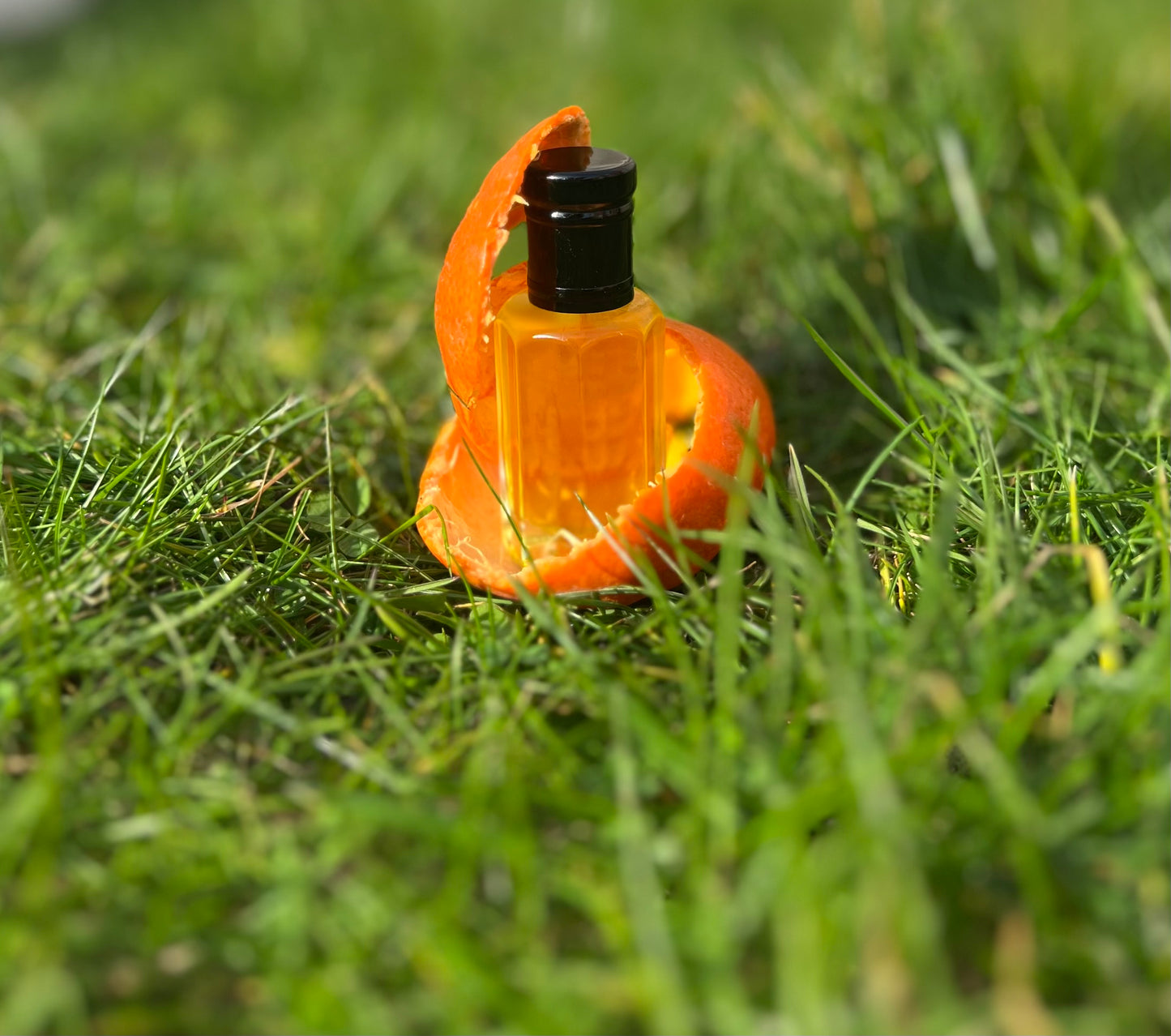 MISQ Royal Citrus Oil